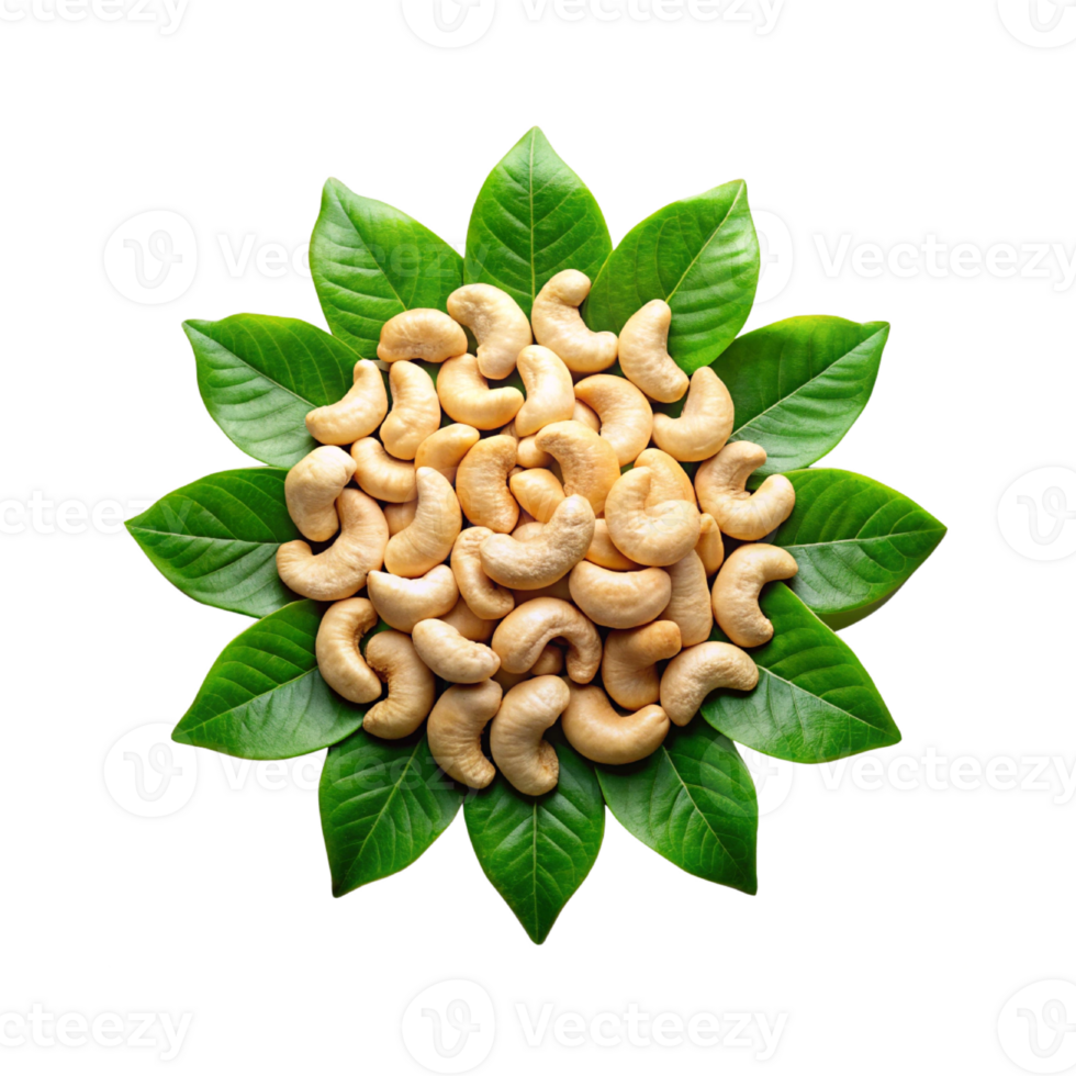 pile of raw cashew nuts with natural beauty png