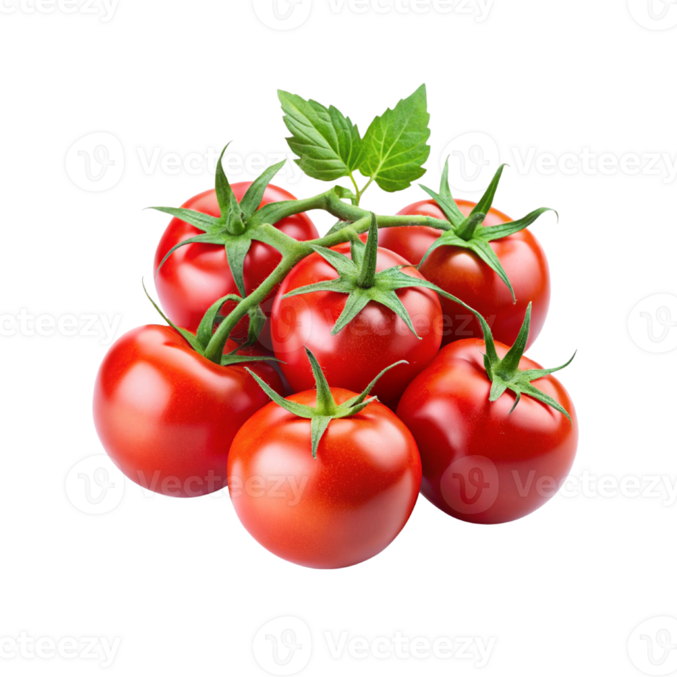 tomatoes on a vine png