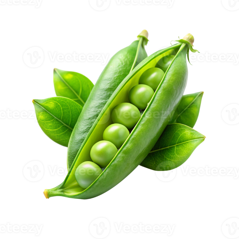 green peas with leaves png