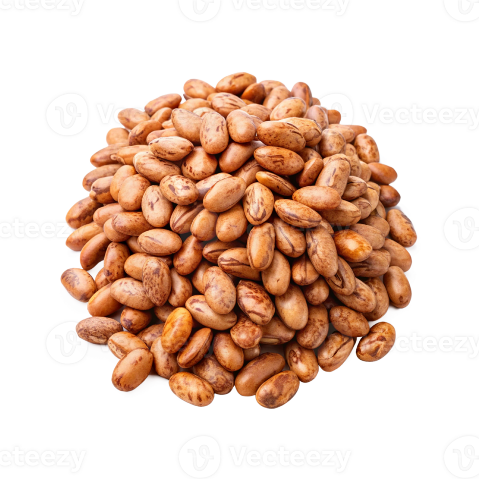 a pile of Pinto Bean png