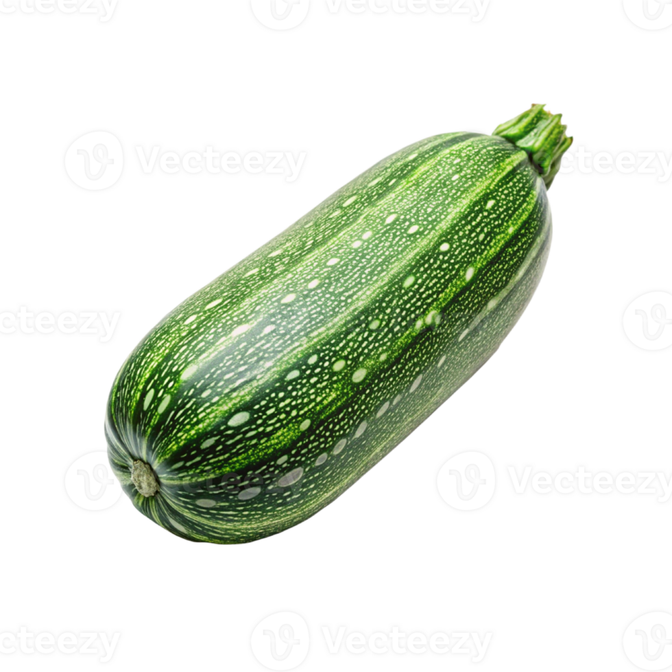 frisch Zucchini isoliert png