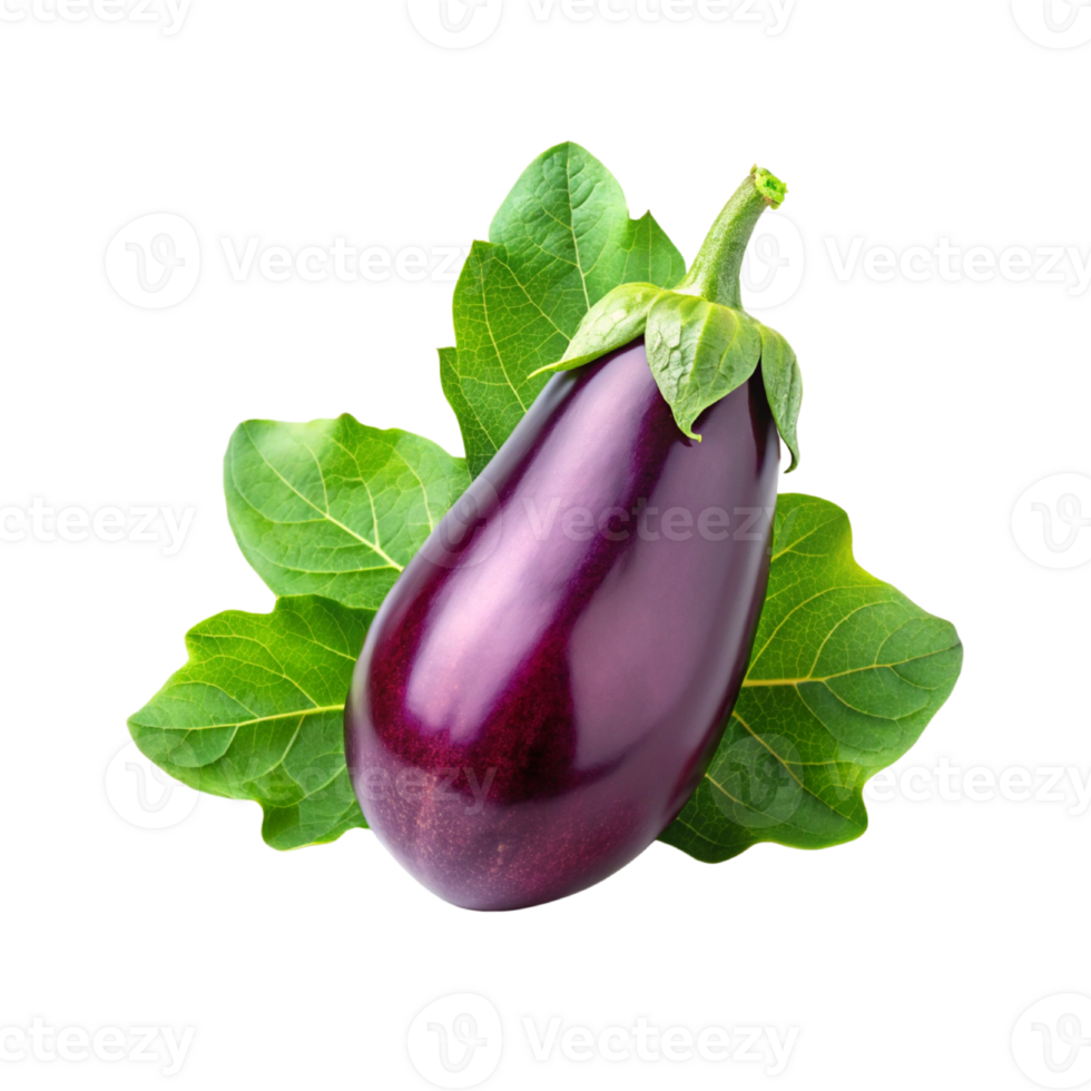 eggplants with leaves png