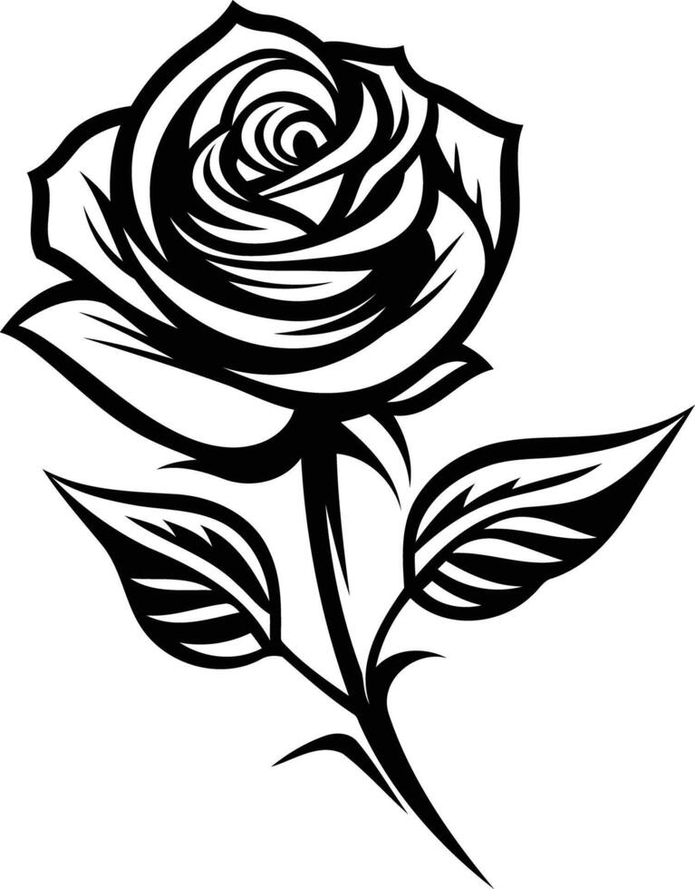 Black and White Rose Illustration vector