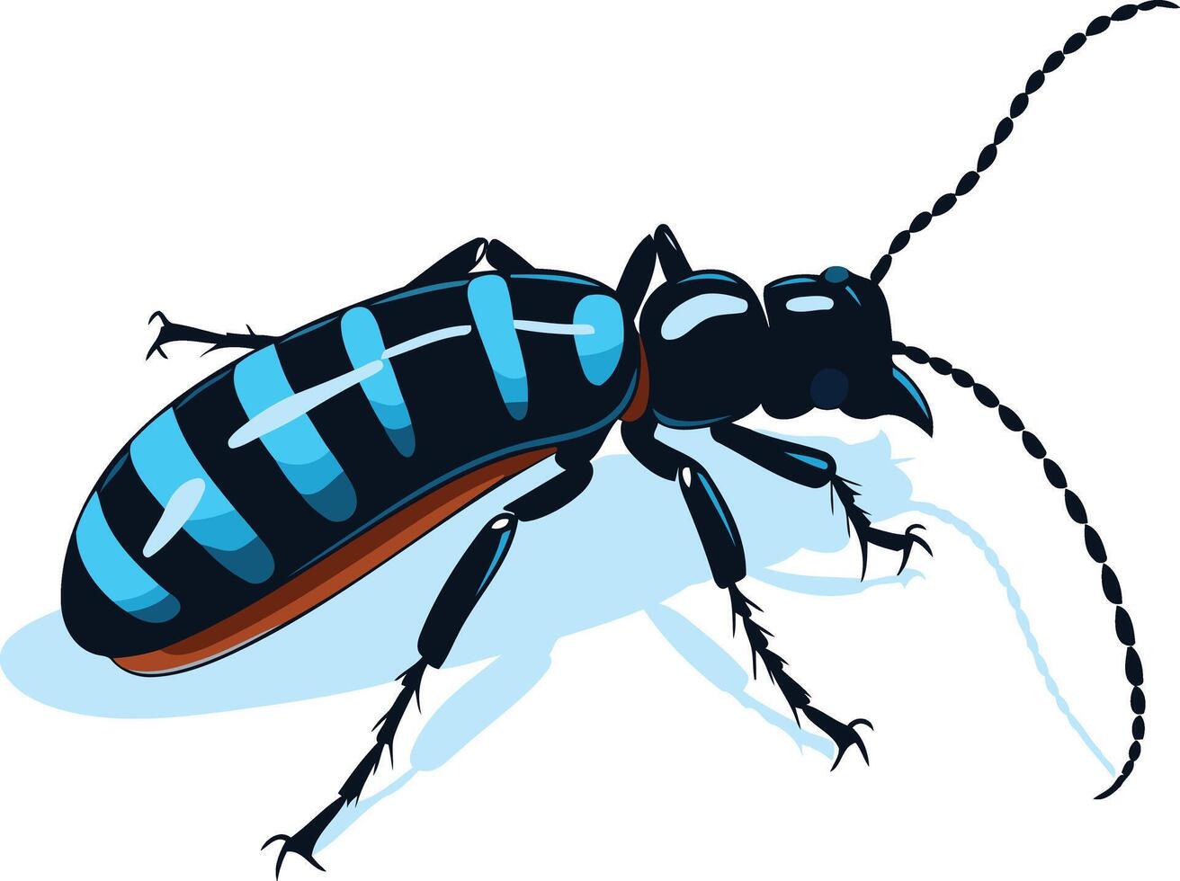 A detailed illustration of a blue and black beetle with long antennae, perfect for educational resources, nature documentaries, or entomological publications vector
