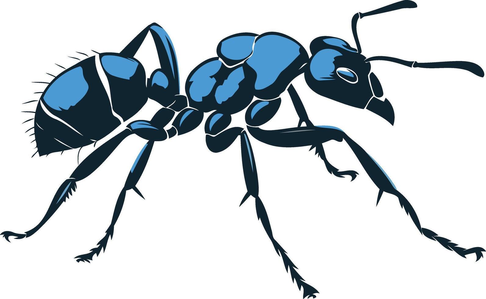 A bold, graphic illustration of an ant in a blue and black color scheme, perfect for nature themed designs, logos, and branding vector