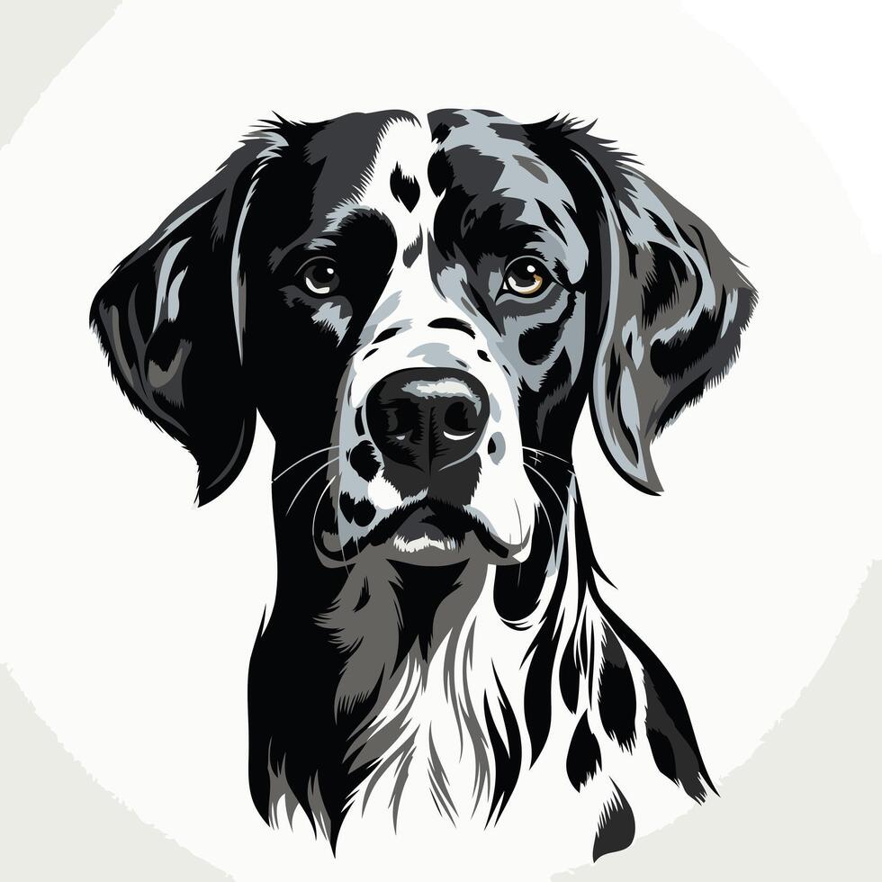 A striking black and white portrait of a german shorthaired pointer, featuring bold lines and a captivating gaze vector