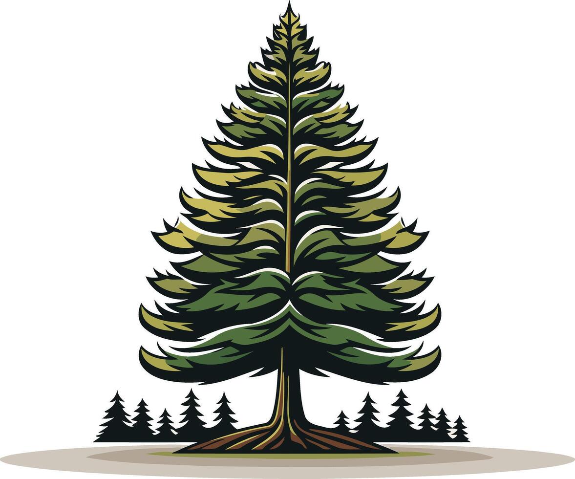 Tall Pine Tree Illustration vector