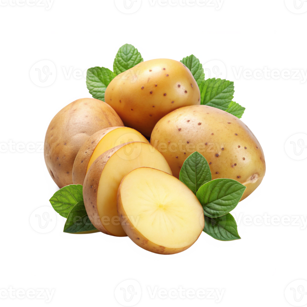 potato rhizome and sliced with leaves png