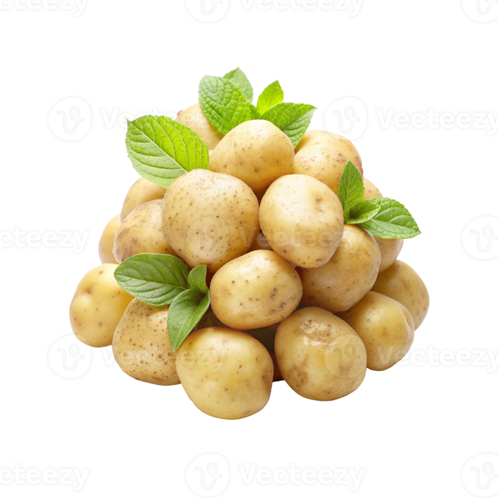 potatoes with leaves isolated png