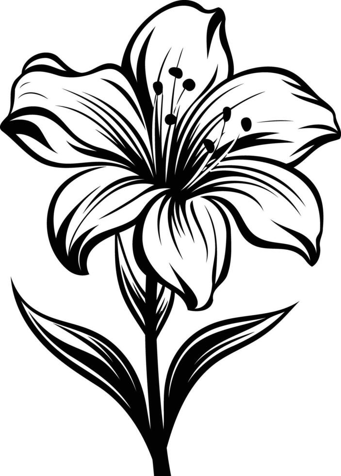 Elegant black and white illustration of a lily flower vector