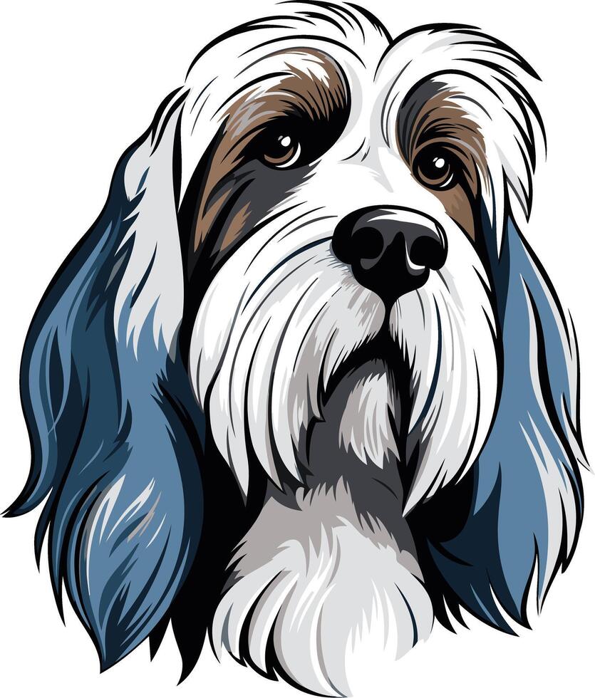 A detailed illustration of a sweet, fluffy dog with a long, curly coat vector