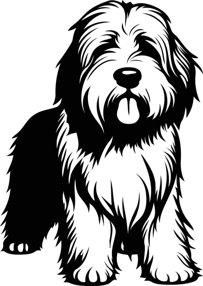 Black and white silhouette illustration of a bearded collie standing vector