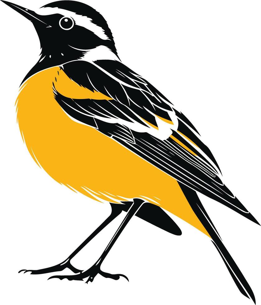 Black and Yellow Bird Illustration vector