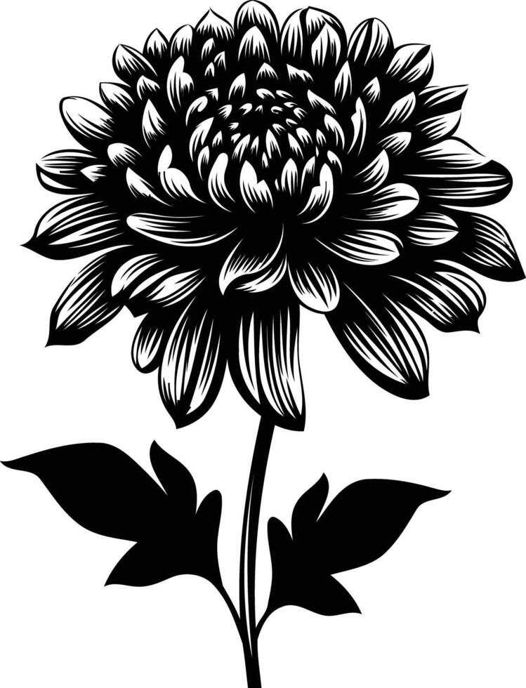 Elegant black and white silhouette of a single dahlia flower with delicate leaves vector