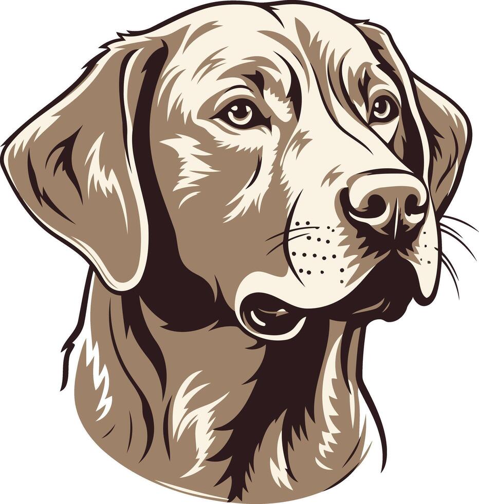 Portrait of a Labrador Retriever vector