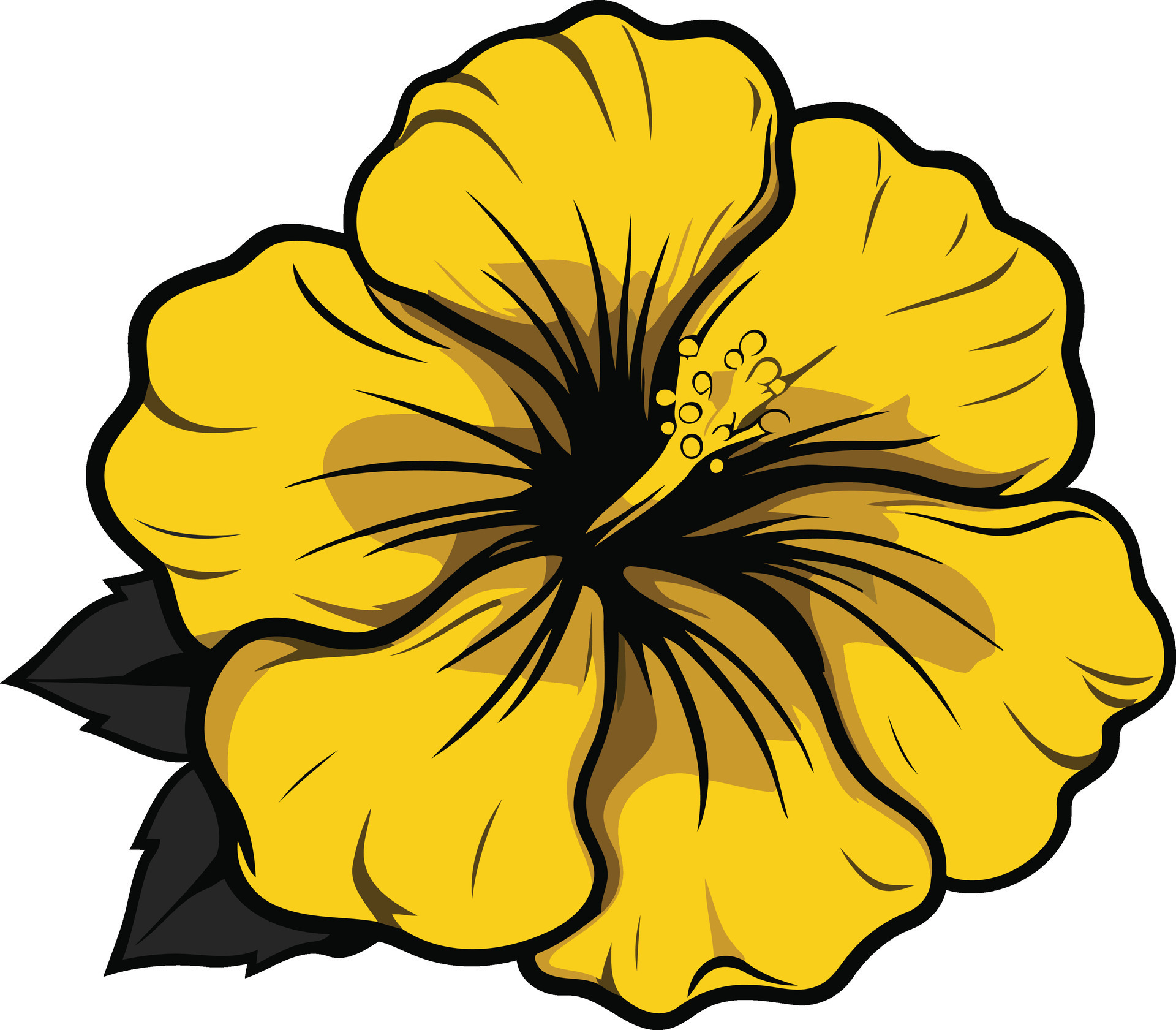 A vibrant yellow hibiscus flower with black outlines 49424358 Vector