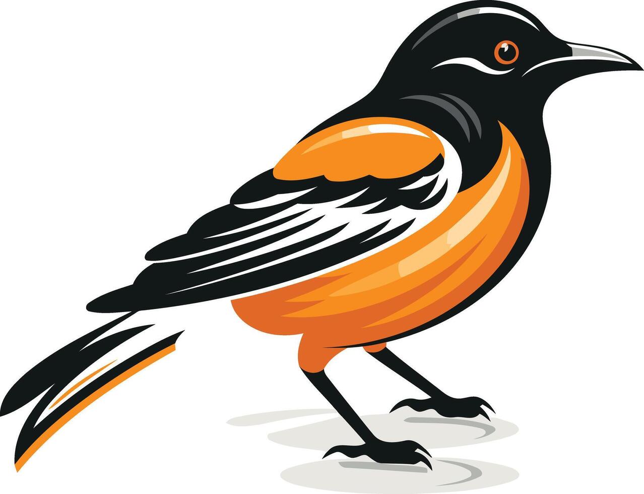A vibrant illustration of a baltimore oriole, a popular north american songbird with bright orange and black plumage vector