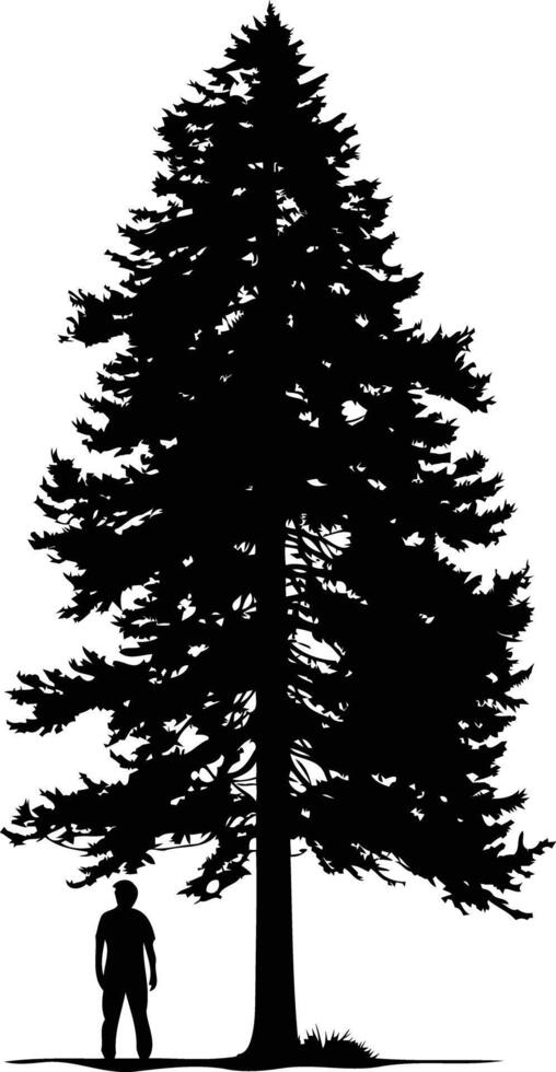 Black and white silhouette of a tall pine tree with a lone person standing before it vector