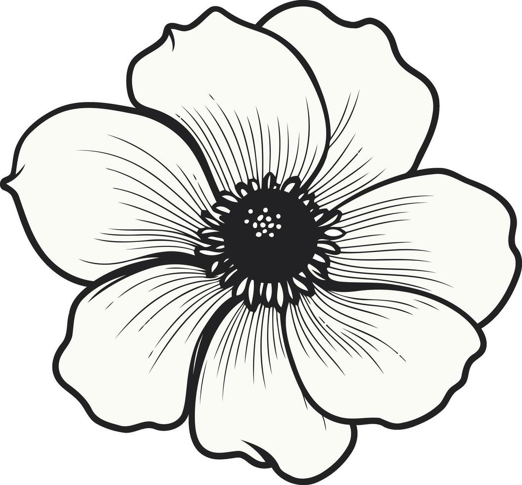 Anemone Flower Illustration vector