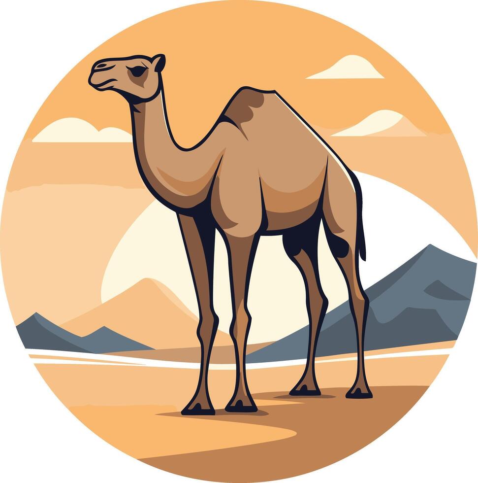 Camel in the Desert Landscape vector