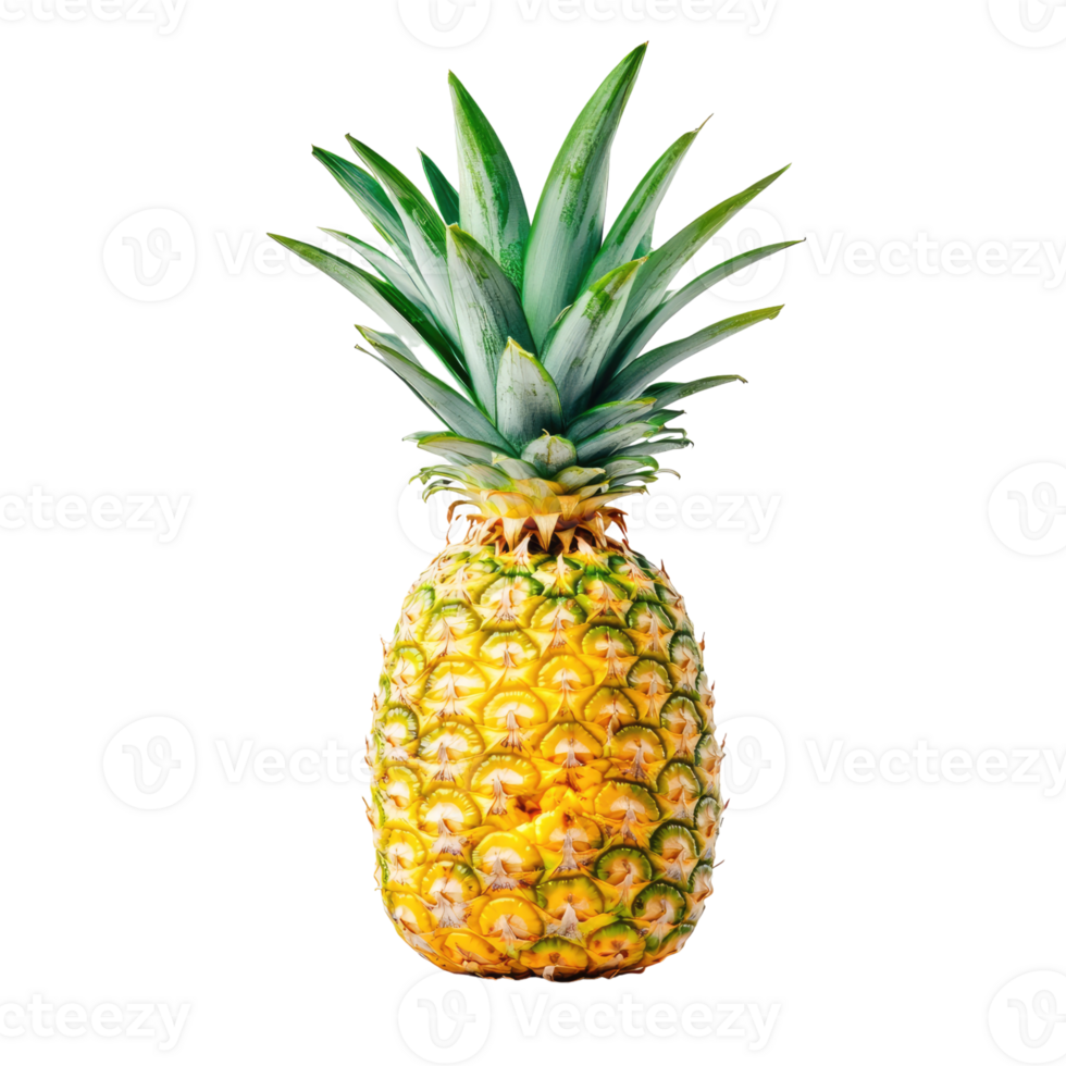 pineapple isolated on transparent background, full depth of field on transparent background png