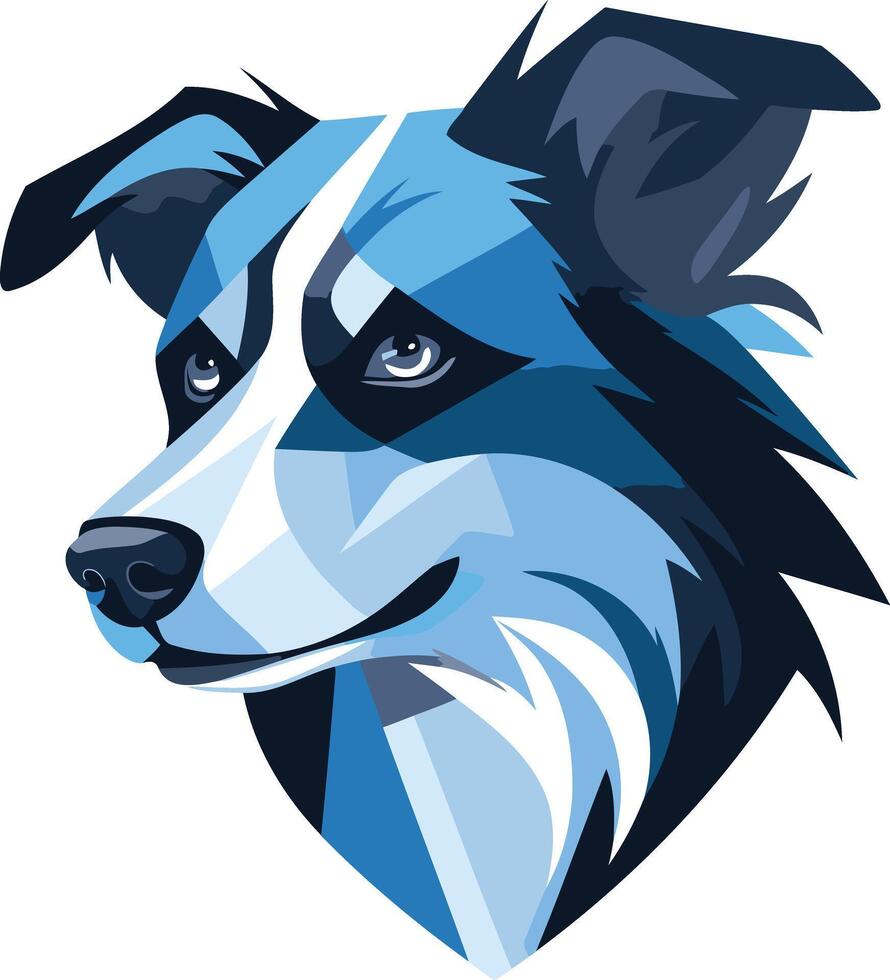 Blue and White Border Collie Illustration vector