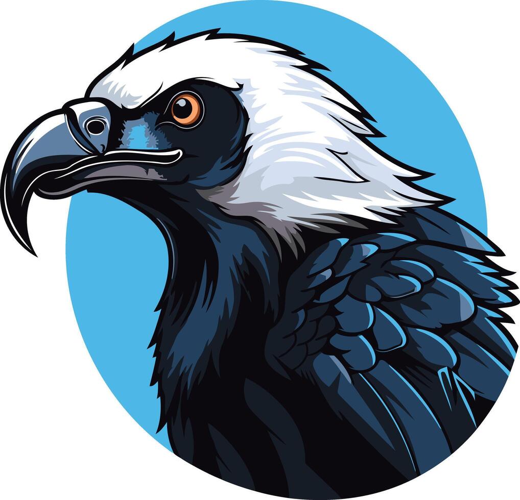 Close Up of a Bearded Vulture vector