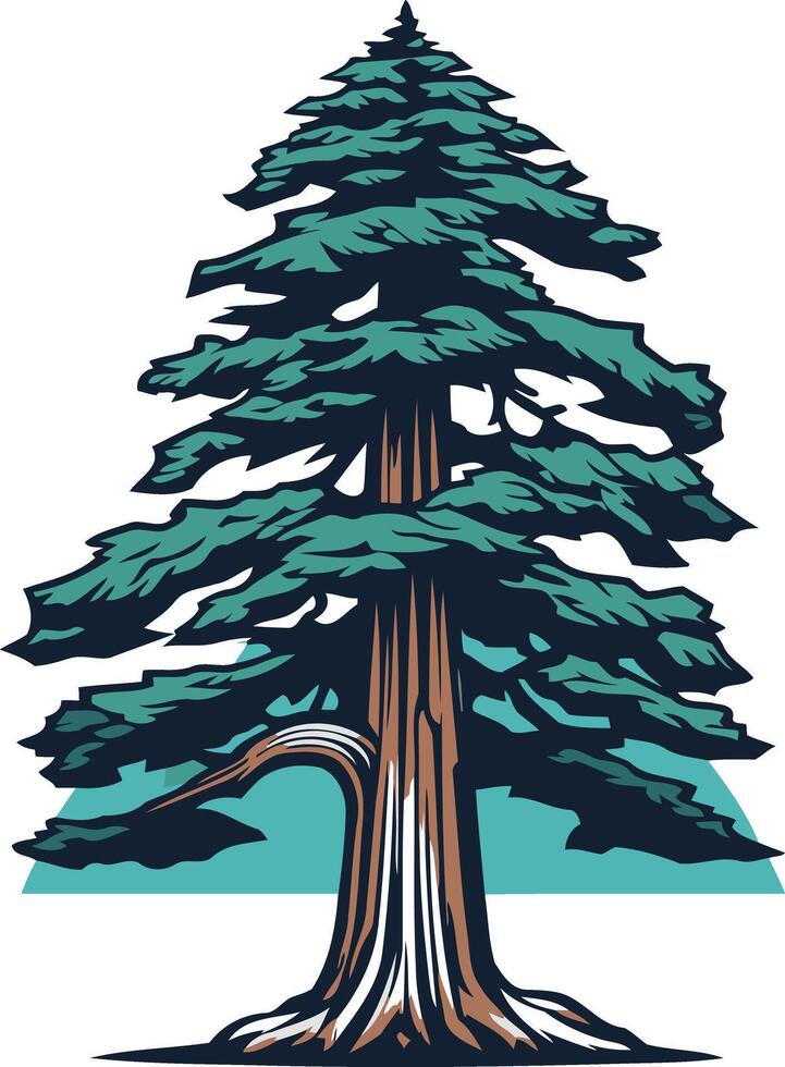 Tall Evergreen Tree Illustration vector