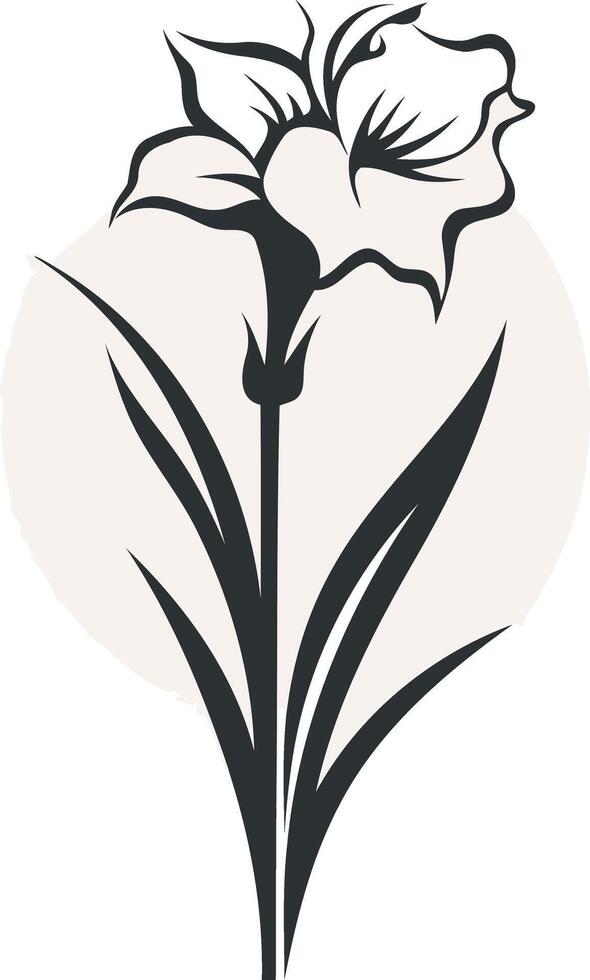 Black and White Daffodil Illustration vector