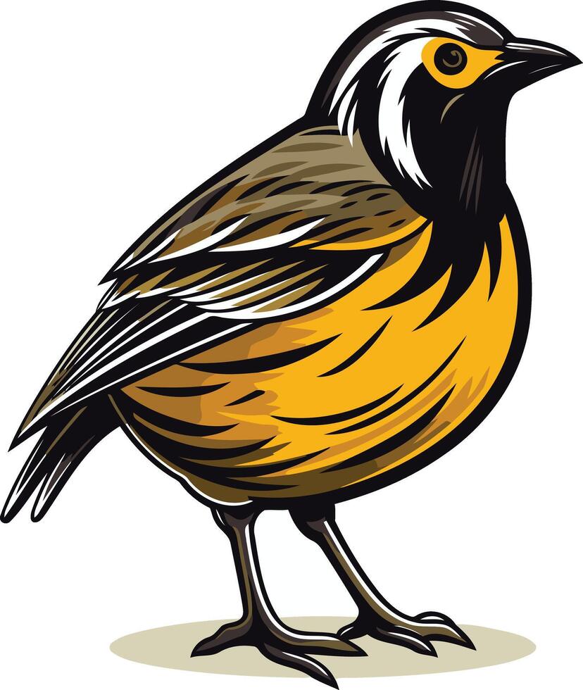 Yellow Bird with Black Stripes and a White Head vector