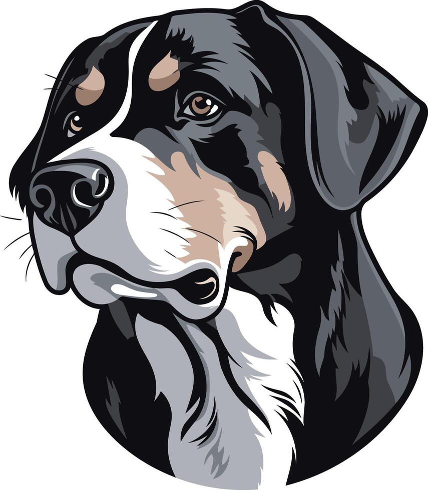 Portrait of a Bernese Mountain Dog vector