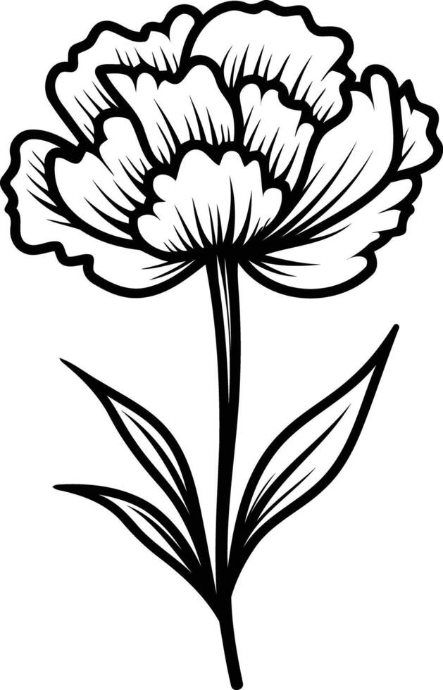 Elegant black and white illustration of a single peony flower with stem and leaves vector