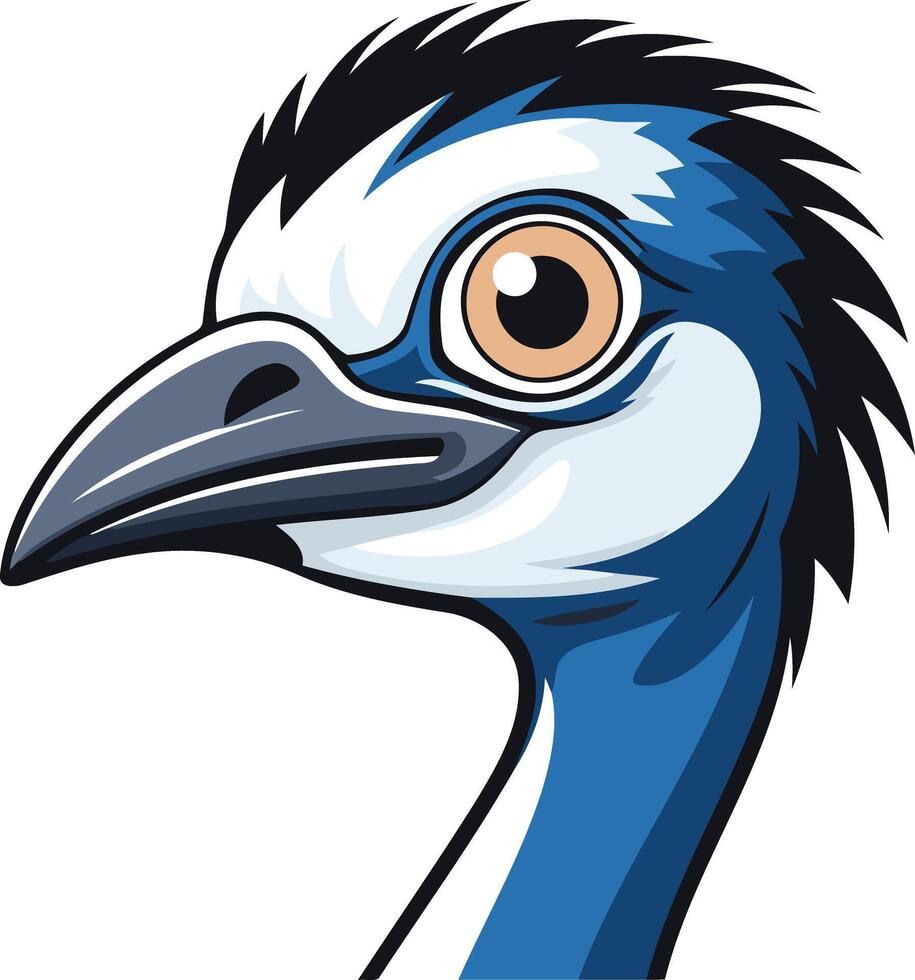 Cassowary Head Illustration vector