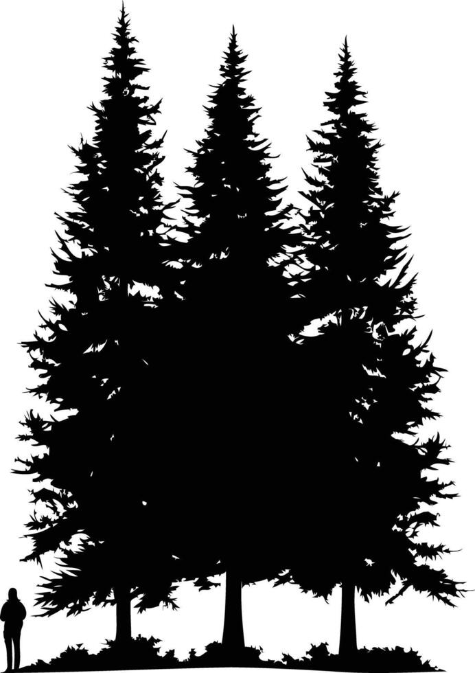 A stark silhouette of three tall pine trees, standing against a white background vector
