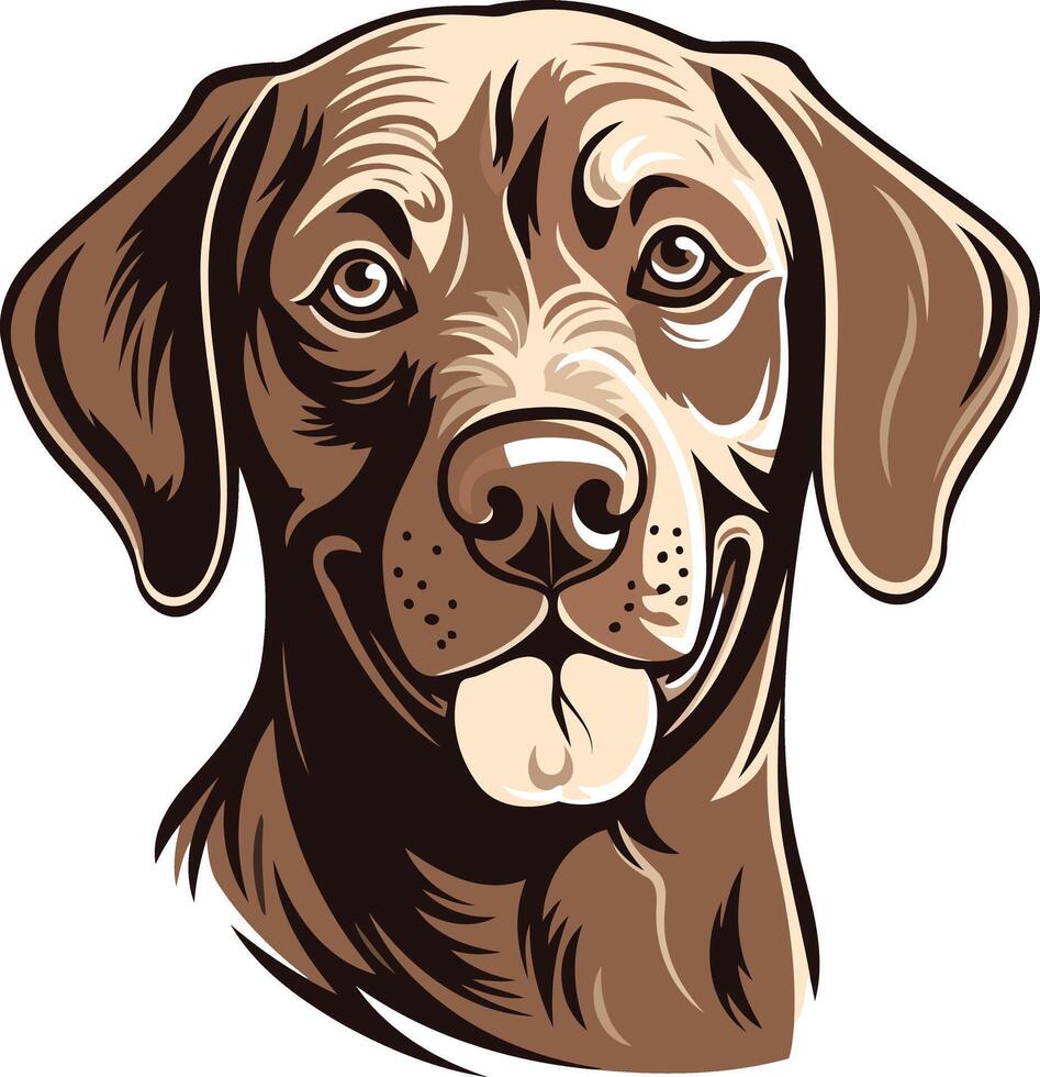 Portrait of a Friendly Chocolate Labrador Retriever vector