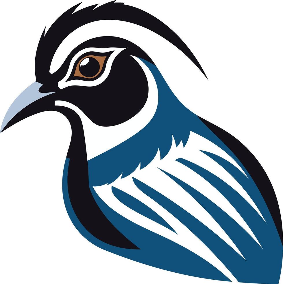 Stylized Quail Illustration vector