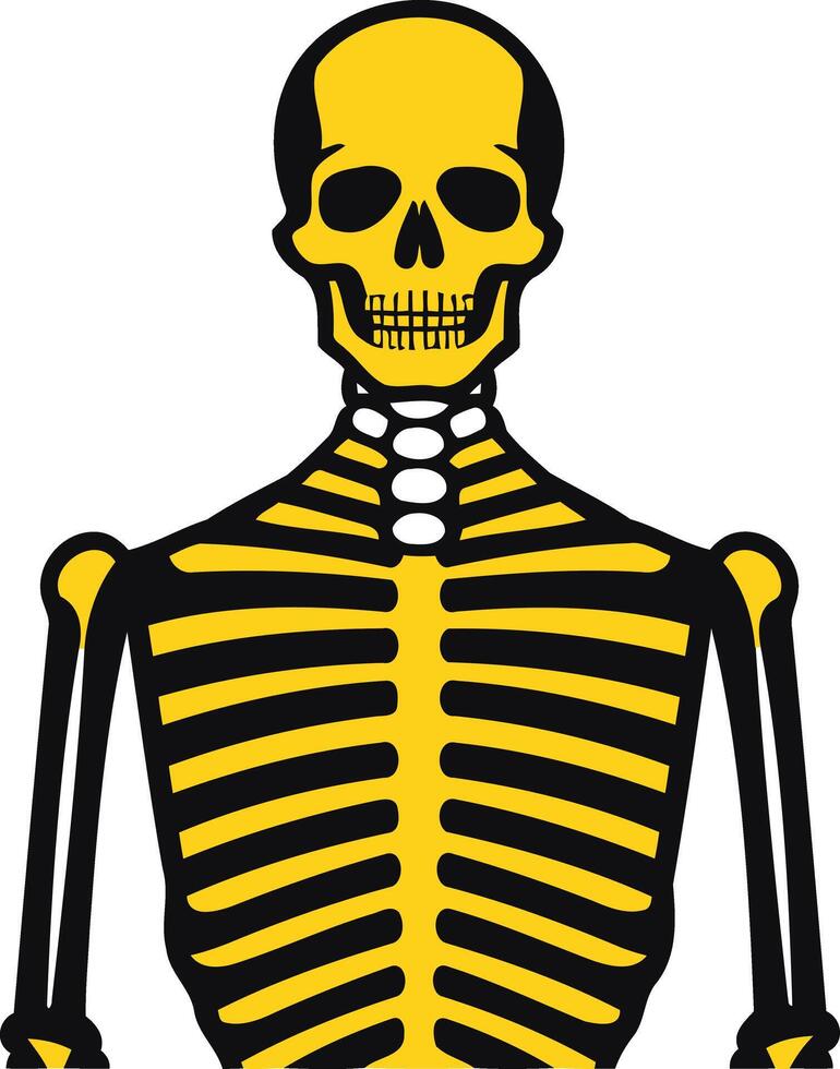 Simple Illustration of a Skeleton vector