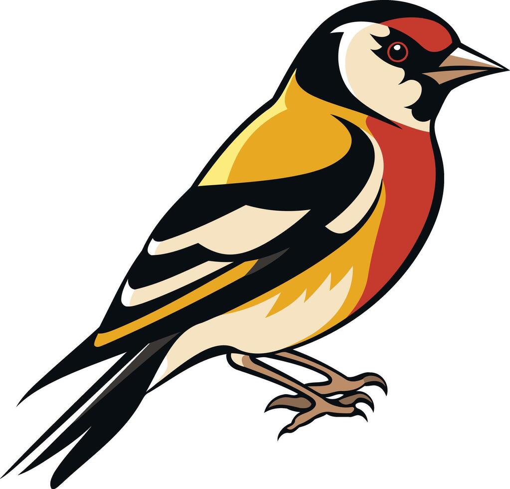 Colorful Illustration of a European Goldfinch vector