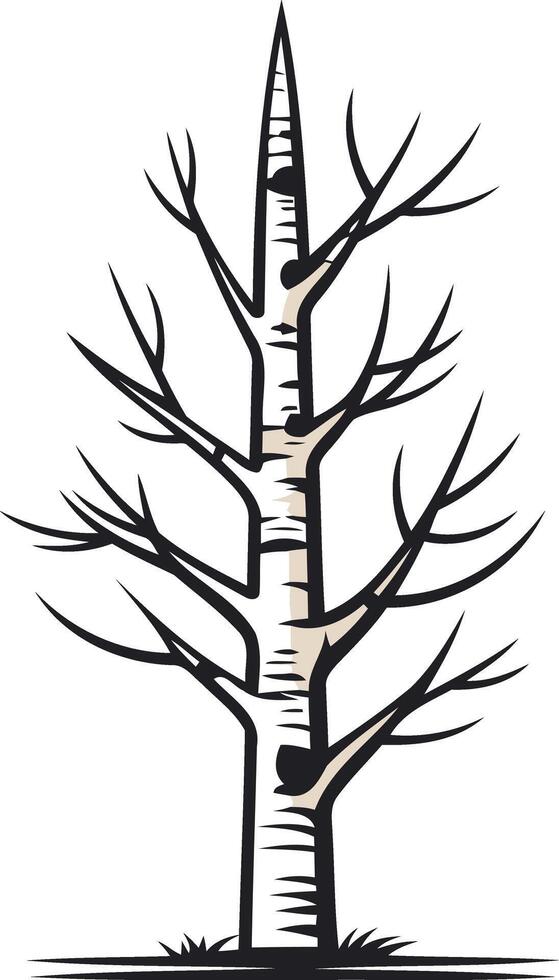 Simple, elegant black and white illustration of a tall, slender birch tree with distinctive bark vector