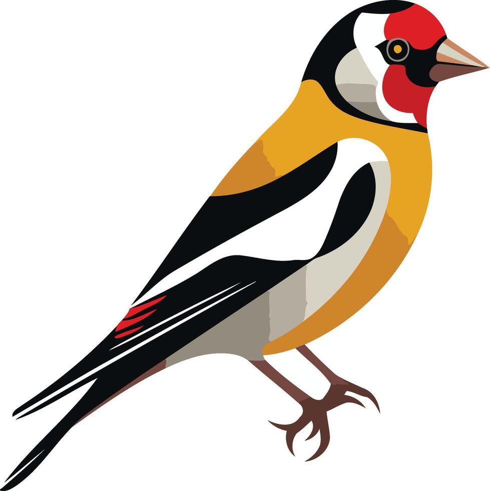 Illustration of a Goldfinch Bird vector