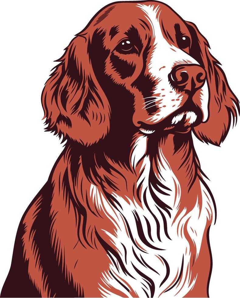 Portrait of a Red and White Dog vector
