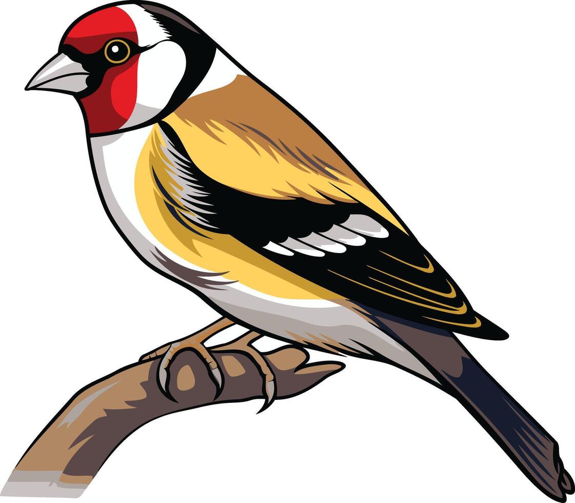 A Colorful European Goldfinch Perched on a Branch vector