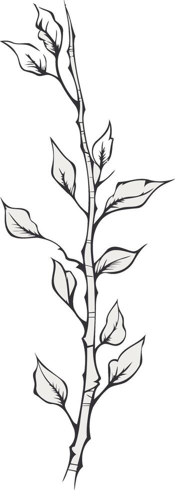 Hand Drawn Illustration of a Single Stem with Leaves vector