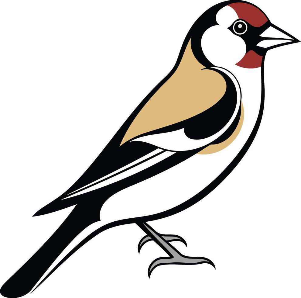 Illustration of a Goldfinch Bird vector