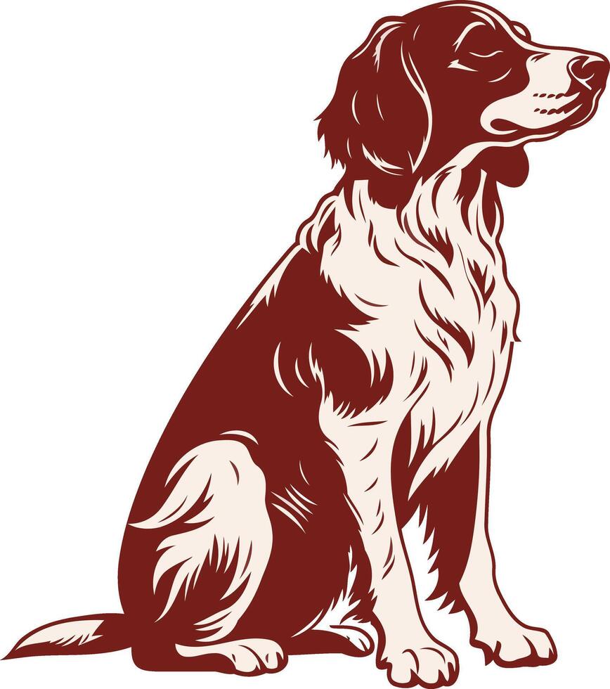 Sitting Springer Spaniel Illustration vector