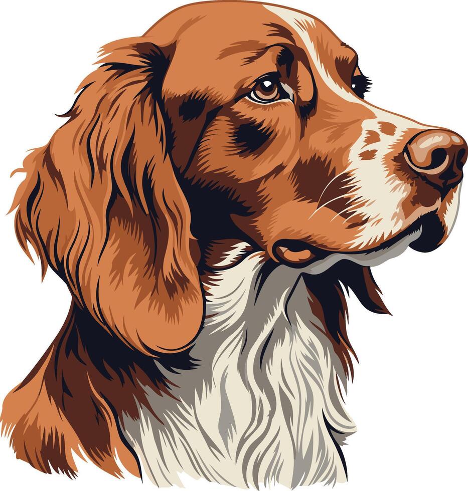 Portrait of a Brown and White Dog vector