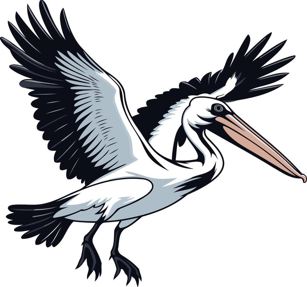 Pelican in Flight with Spread Wings vector