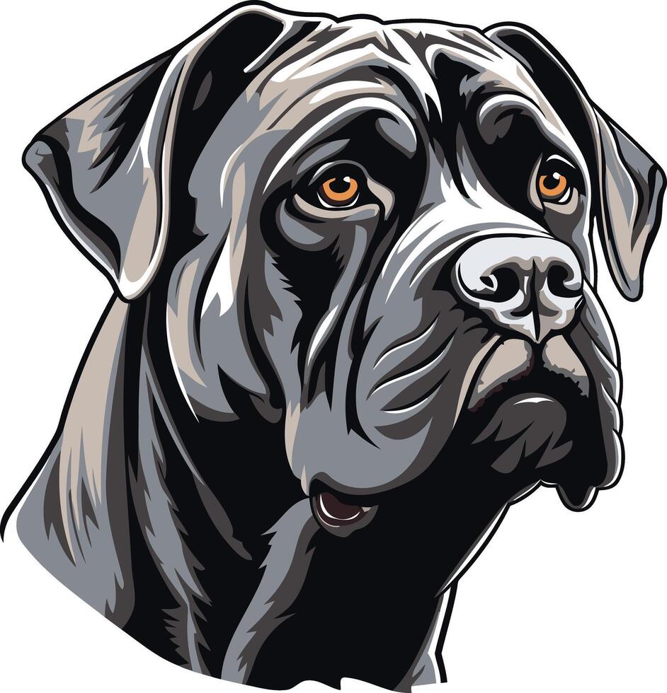 Portrait of a Majestic Cane Corso vector