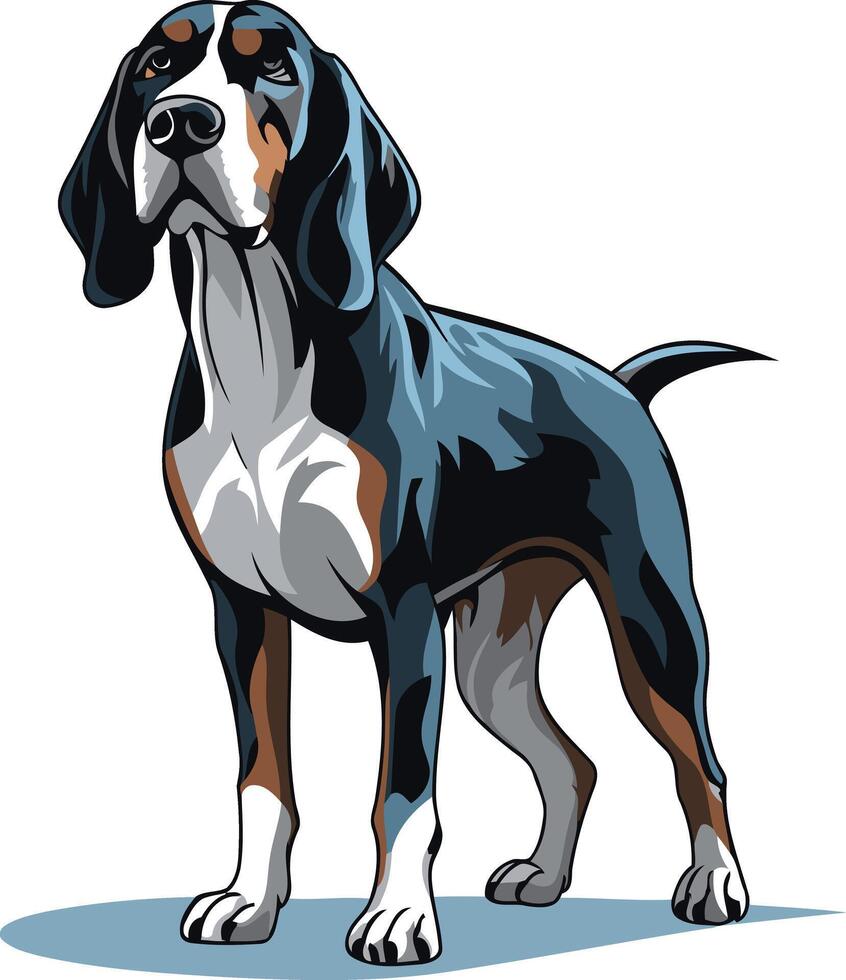 A striking illustration of a black and white hunting dog standing proudly vector