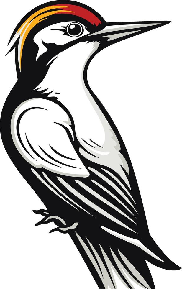 A bold and striking illustration of a woodpecker in profile, perfect for branding, logos, or nature themed designs vector